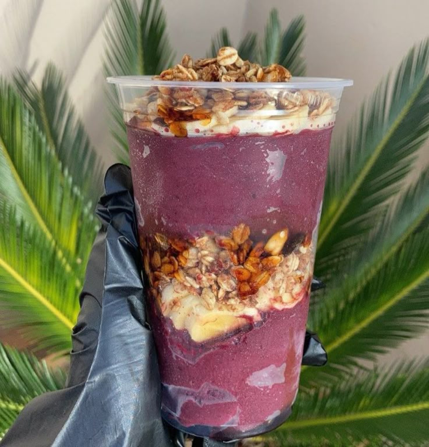 Bowl Tropical da Casa